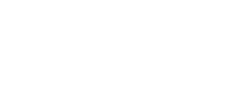 lzka_stroke_white_en